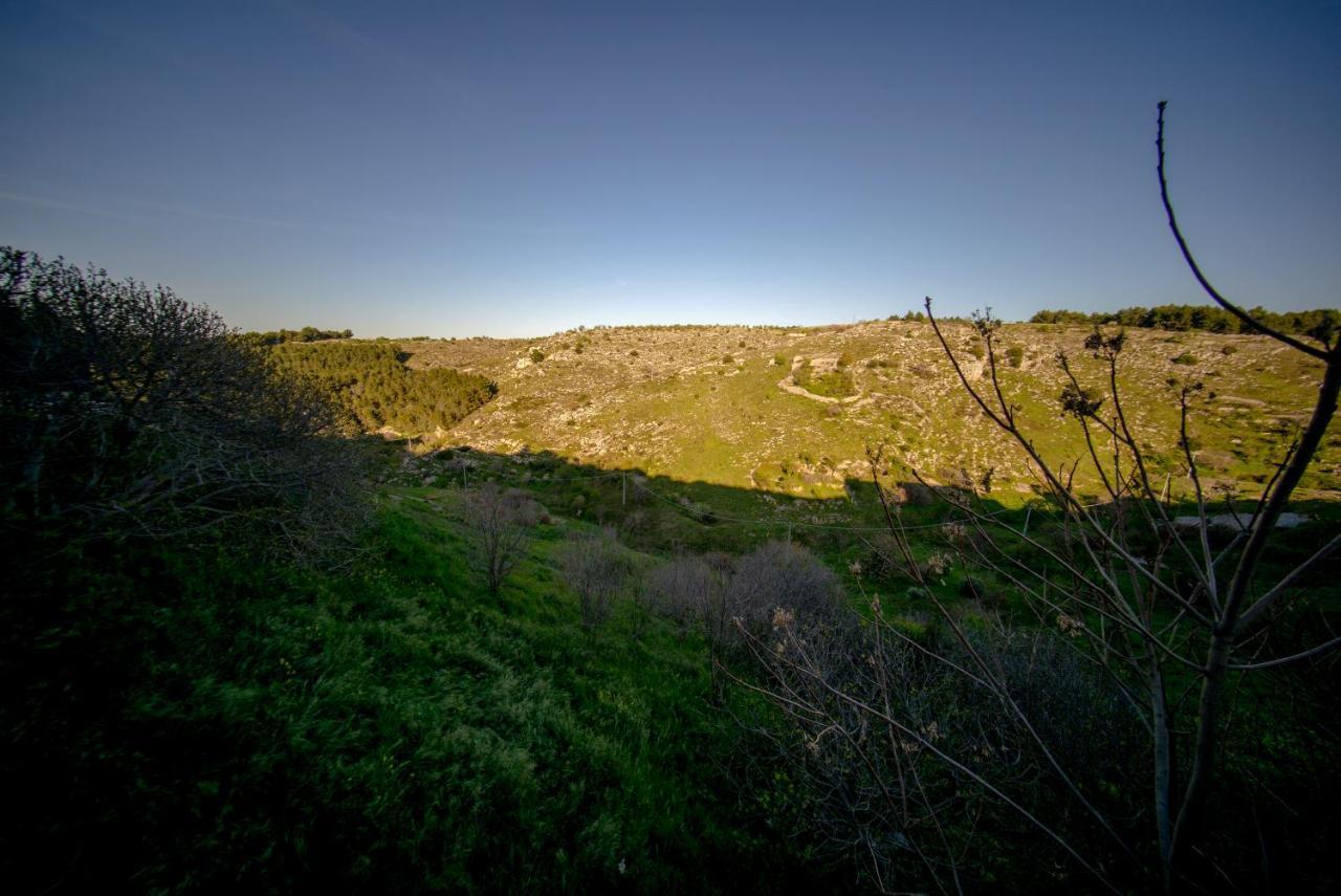 La Ferula Magica - Alloggio Tipico Daire Minervino Murge Dış mekan fotoğraf